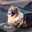 ���� ������ 149 ����!!, ������, 65 ��� - ��������� 11 ������ 2015 � ������ ������ ��������