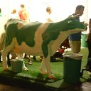 ���� �����, ������� - ��������� 7 ����� 2015 � ������ ���� ����������