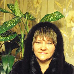 �����, �����������, 53 ����