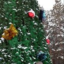 ���� �������, ������, 44 ���� - ��������� 4 ������ 2015 � ������ ���� ����������