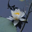 ���� ����, ������� - ��������� 27 ������� 2015 � ������ ������ ��������