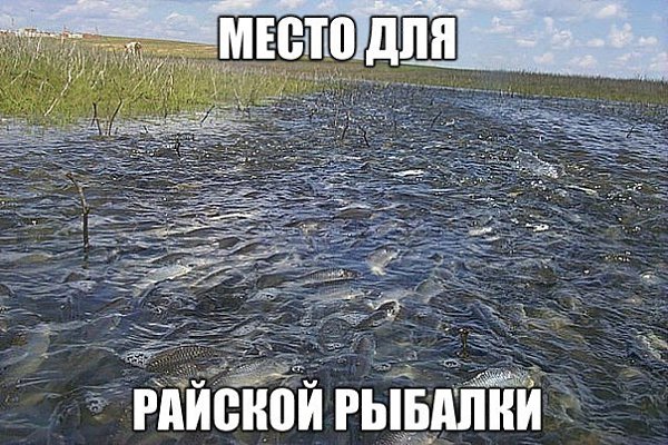   ,  : fotostrana.ru/prikolyzikfun/