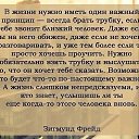 ���� �������, �����-��������� - ��������� 5 ������� 2015