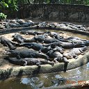 ���� Aru, �������� - ��������� 30 ����� 2015 � ������ �ANCIENT SCULPTURES AT MAHABALIPURAM, INDIA�