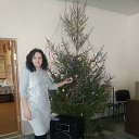 ���� ����, ������, 65 ��� - ��������� 2 ������ 2015 � ������ ���� ����������