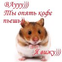 ���� �����, ������� ������, 40 ��� - ��������� 2 ������ 2015 � ������ ���� ����������