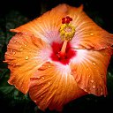 ���� ����, ������ - ��������� 22 ������� 2014 � ������ ���� ����������