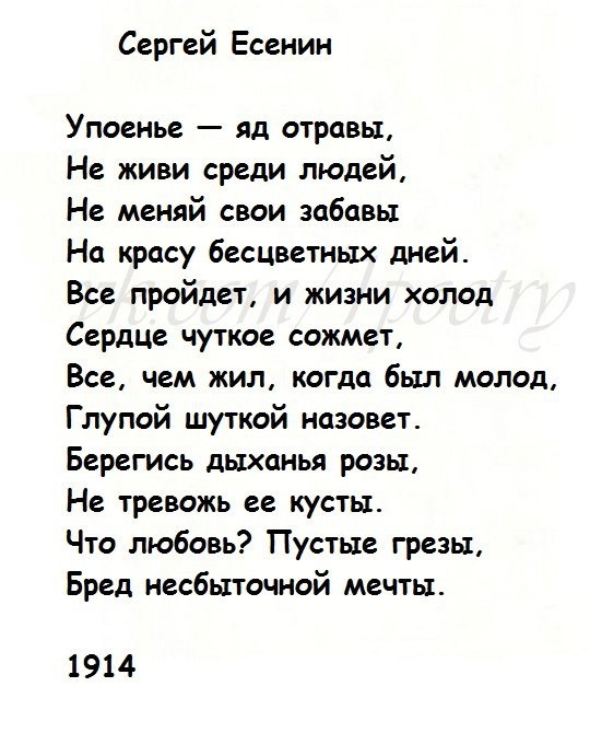 Стих 12 четверостиший. Стихи Есенина о любви. Стихотворение Есенина о любви. Есенин стихи о любви.