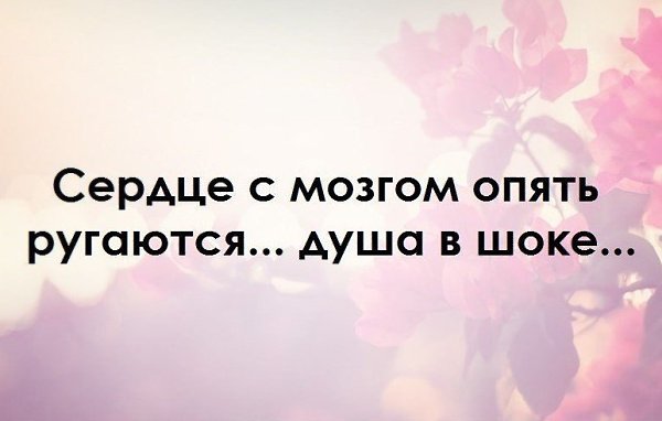   - 12  2015  07:08