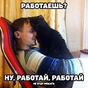 ���� ����, �������, 51 ��� - ��������� 8 ������� 2015 � ������ ������ ��������