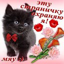 ���� �����, ���������� - ��������� 2 ����� 2015 � ������ ���� ����������