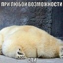 ���� ��������, ����, 60 ��� - ��������� 9 ����� 2015 � ������ ���� ����������