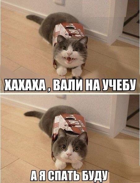 Art & Fun - 15  2015  07:07