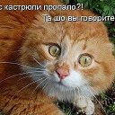  , , 46  -  4  2015   .