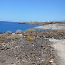 ��� ������������ �� ����� �������� ���������, ������ �� ����� � ������ ��� �������? 
����� �����: http://dengidomoy.ru/cent/ �� ������� ��������