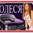 ���� �����, ������������ - ��������� 25 ������ 2015 � ������ ���� ����������