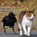 ���� ����, ���� - ��������� 20 ������� 2015 � ������ ������ ��������