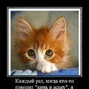 ���� ��, ���������� - ��������� 18 ������� 2015 � ������ ���� ����������