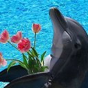 ���� ������, ������ - ��������� 2 ������ 2015 � ������ ���� ���,��� �������!!!�