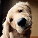 ���� �����!!������� ������, ������������ - ��������� 22 ������� 2015 � ������ ��������