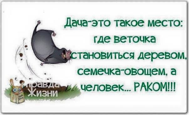   - 17  2015  11:14