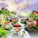 ���� ������, ������ - ��������� 2 ������ 2015 � ������ ���� ���,��� �������!!!�