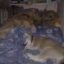 ���� �����, ������, 52 ���� - ��������� 7 ������� 2015 � ������ ���� ,,�����,,�