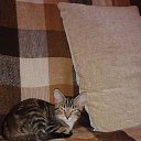 ���������. �� ������� ��������