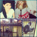 ���� �����, �������, 36 ��� - ��������� 20 ������� 2014 � ������ ������ ��������