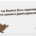 ���� �����, ���� - ��������� 22 ������� 2015 � ������ ������ ��������