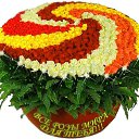 ���� ������� ��������, ����������, 74 ���� - ��������� 27 ������� 2015 � ������ ������ ��������