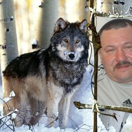 ��������, ����������, 61 ���