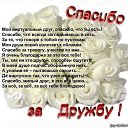 ���� E����, ��������� - ��������� 11 ������� 2015 � ������ ������ ��������