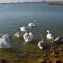 ���� ������, ���������, 42 ���� - ��������� 24 ������ 2015 � ������ �XXX�