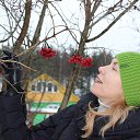 ���� �����, ��������, 51 ��� - ��������� 29 ������� 2014 � ������ ���� ����������
