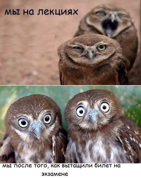   | , ,  - 23  2014  11:03