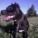 ���� �������, ���� - ��������� 31 ������� 2014 � ������ ������ ��������