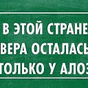 ���� ���������, ������-�������, 38 ��� - ��������� 11 ������ 2015 � ������ ������ ��������