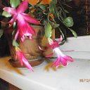 ���� ������, ������, 60 ��� - ��������� 30 ������� 2014 � ������ ������ ��������