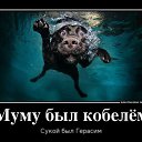 ���� ������, �����������, 58 ��� - ��������� 12 ������� 2015 � ������ ���� ����������