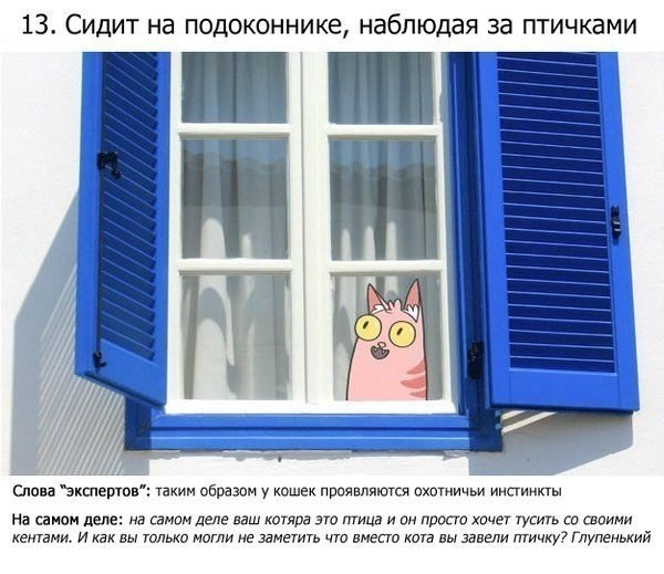   ,   ?! 15  .  ,       ... - 7