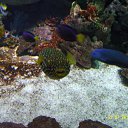 ���� Eugene, �������, 43 ���� - ��������� 18 ������� 2014 � ������ ����������� ��������