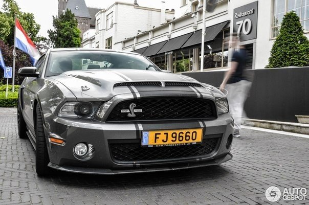 Shelby GT500 - 3