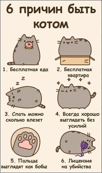 ...���� ����� :)