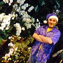 ���� ������, ������, 56 ��� - ��������� 25 ������� 2014 � ������ ���� ����������