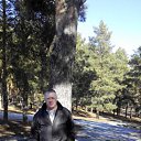 ���� ���������, ��������, 62 ���� - ��������� 25 ����� 2015