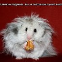 ���� ������, ������, 41 ��� - ��������� 2 ������ 2015 � ������ ������ ��������