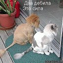 ���� ������, ��������� - ��������� 30 ������� 2014 � ������ ���� ����������