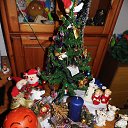  Gelya   20, , 57  -  25  2014    