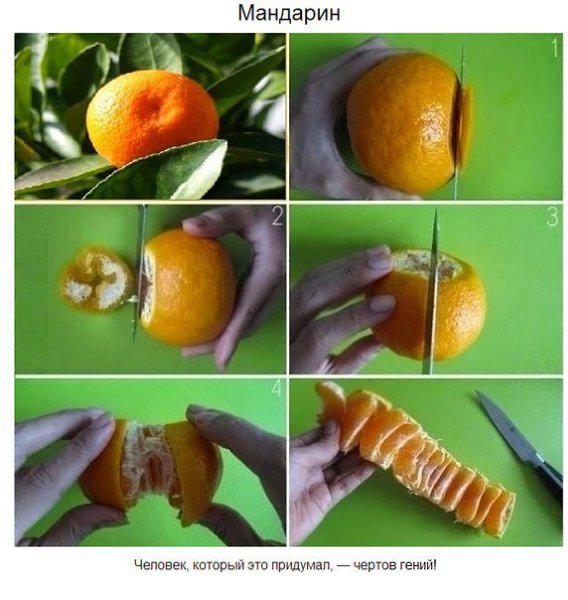 Продукты, которые мы неправильно резали всю свою жизнь.#интересное@cooklove